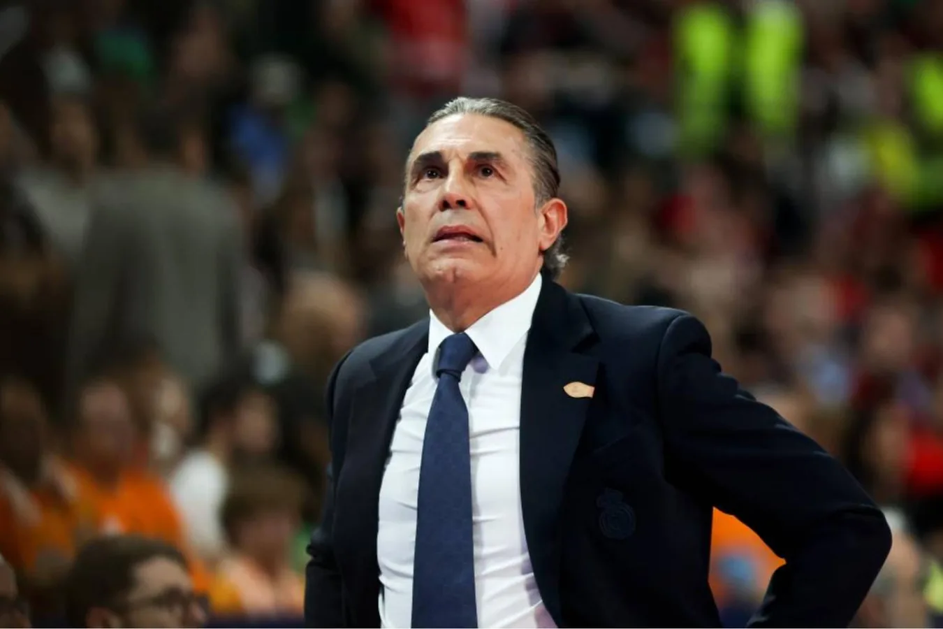 Sergio Scariolo en las gradas del Real Madrid Basketball Arena